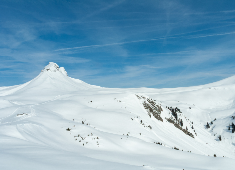 20050314-_DSC0427