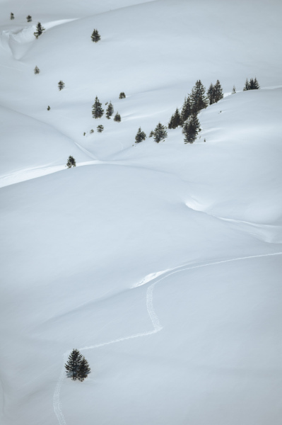 20050314-_DSC0444