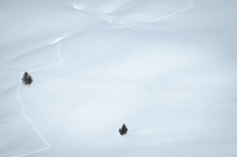 20050314-_DSC0446