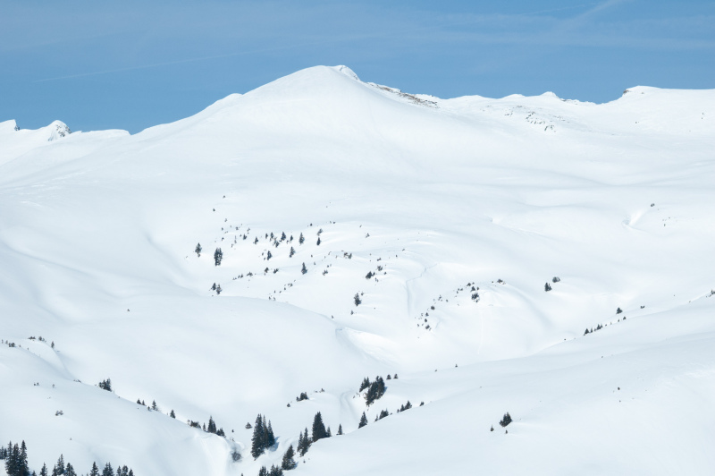 20050314-_DSC0447