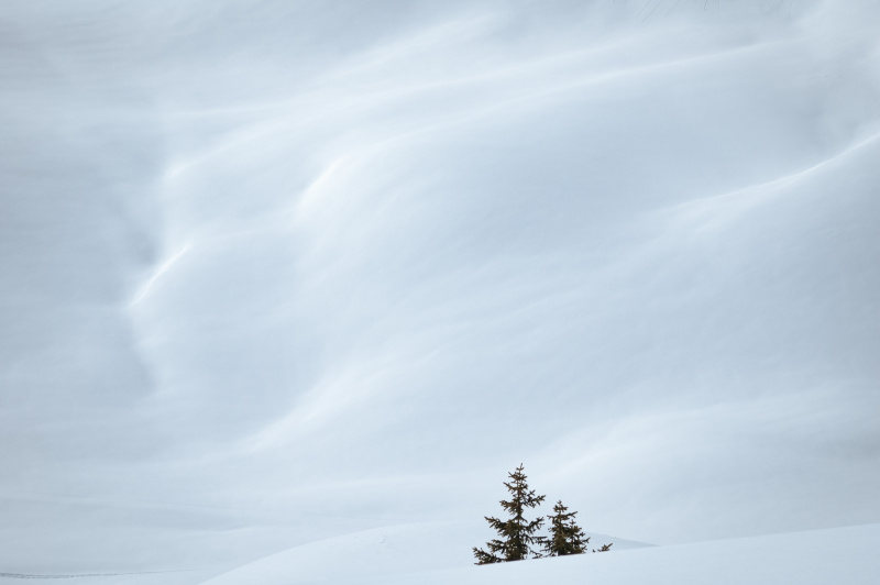 20050314-_DSC0450