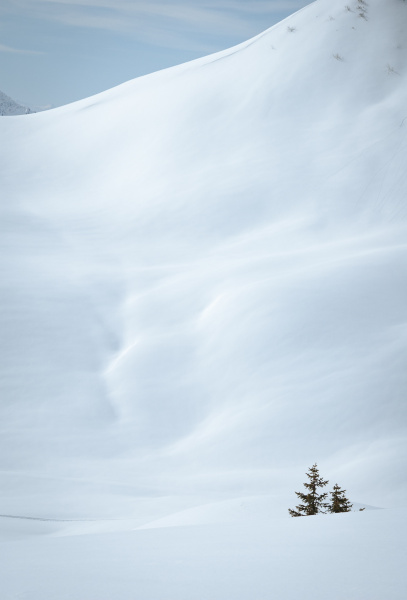 20050314-_DSC0451