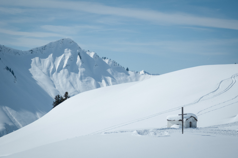 20050314-_DSC0462