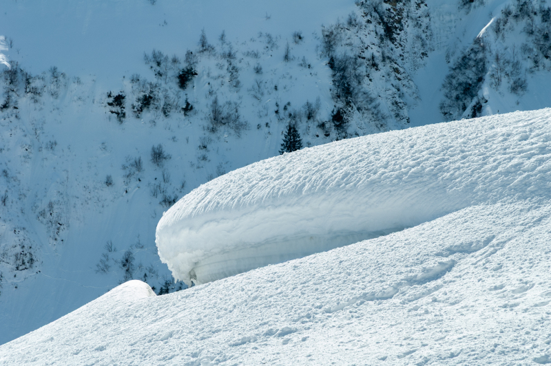 20050314-_DSC0488