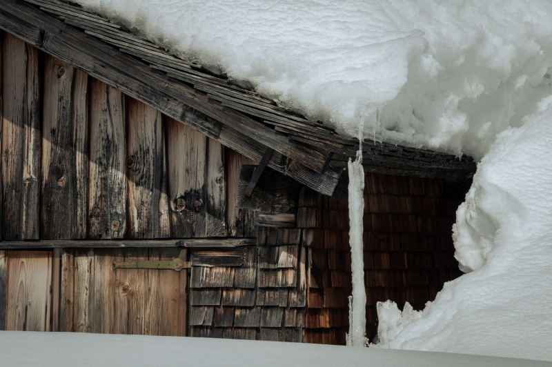 20050314-_DSC0498