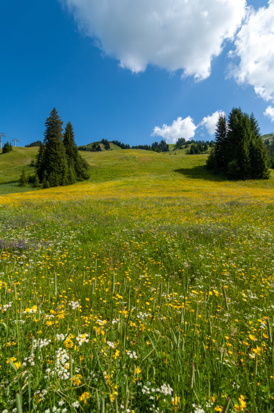 20060712-_DSC1700