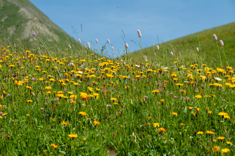 20060714-_DSC0083