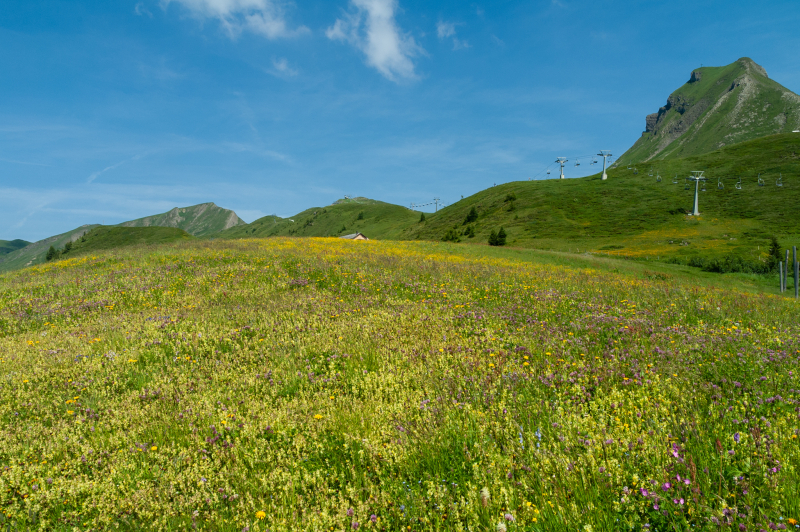 20060714-_DSC0087