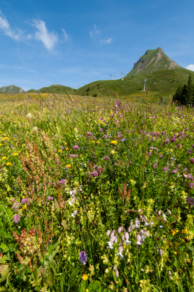 20060714-_DSC0088