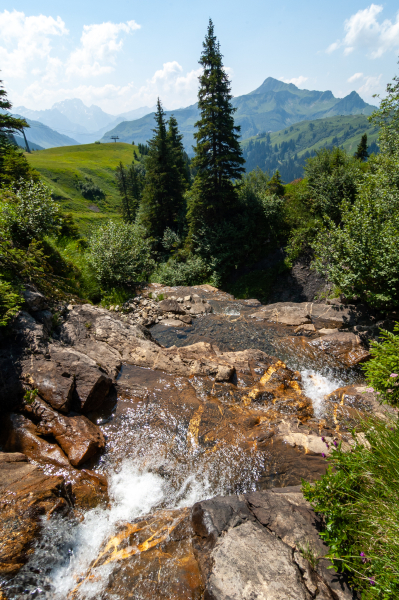 20060714-_DSC0120