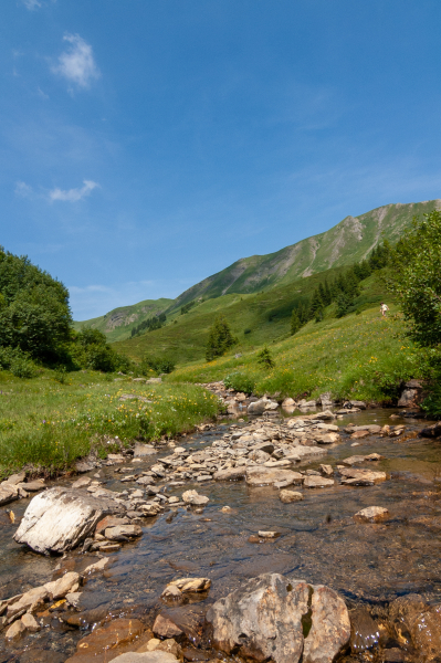 20060714-_DSC0124