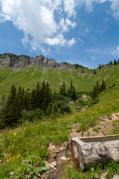 20060714-_DSC0186