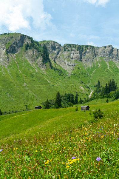 20060714-_DSC0198