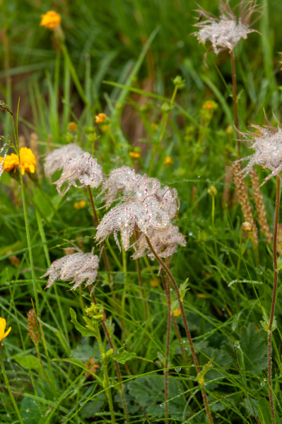 20060716-_DSC0306