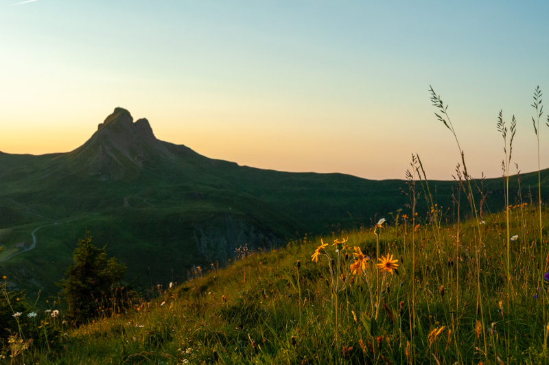 20060719-_DSC0683