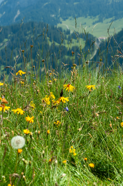20060720-_DSC0818