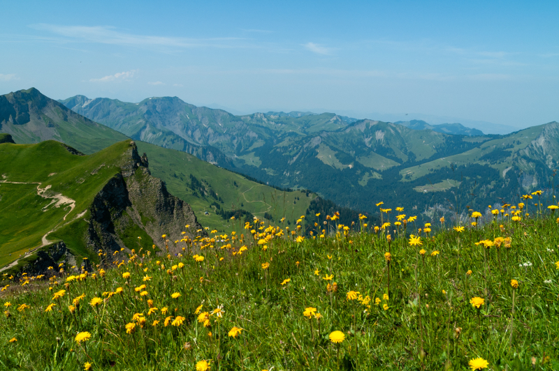 20060720-_DSC0827