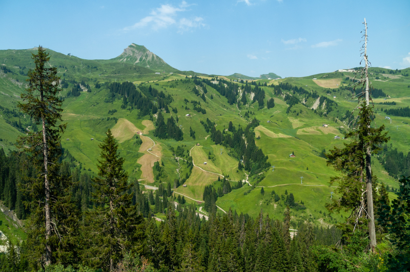 20060720-_DSC0882