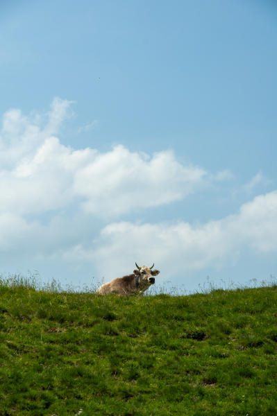 20060721-_DSC0905
