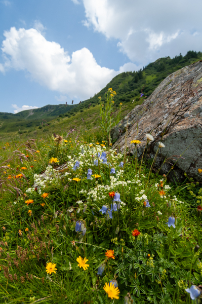 20060721-_DSC0909