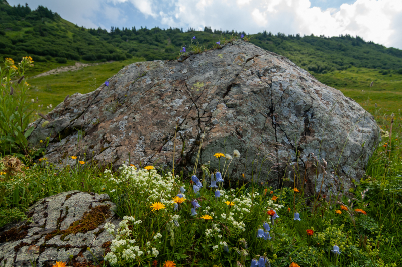 20060721-_DSC0911