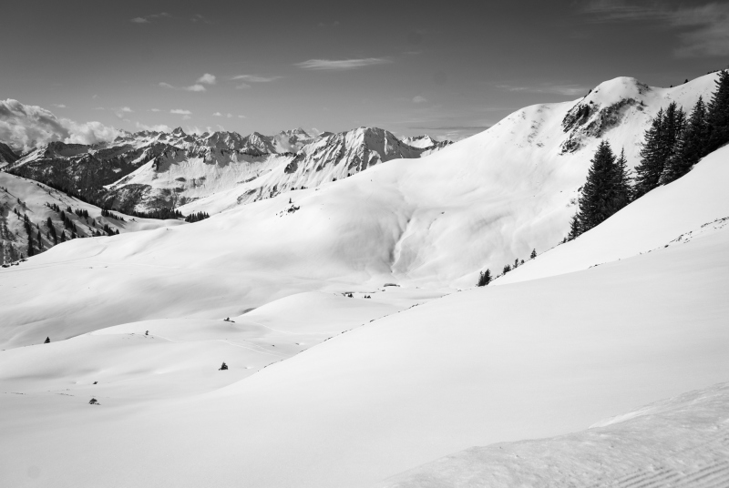 20100331-100331209