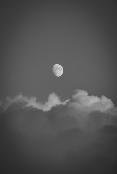 20100820-100820157