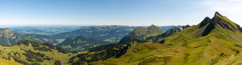 20170807-_DSC6753-Pano
