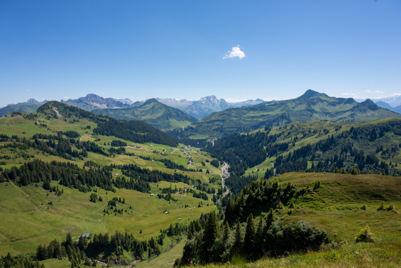 20200727-202007270664