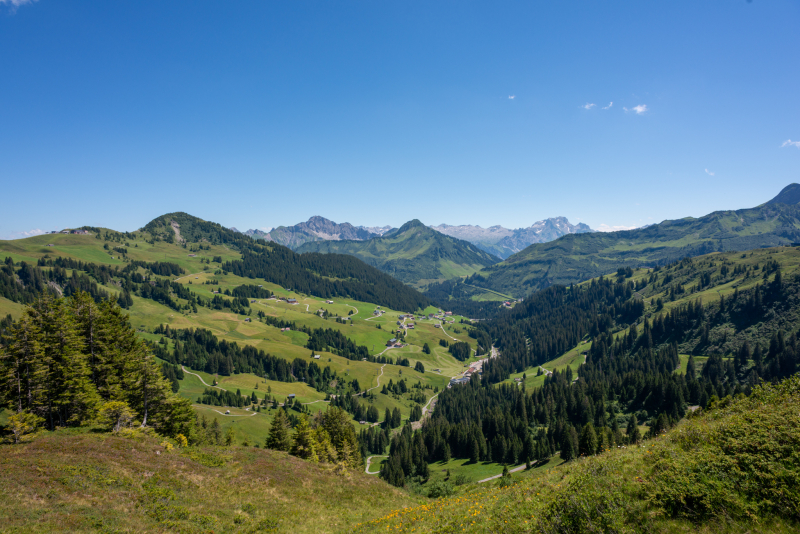 20200727-202007270673
