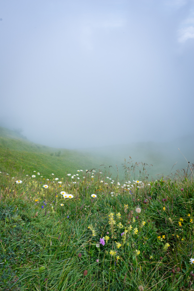 20240805-_DSC2969