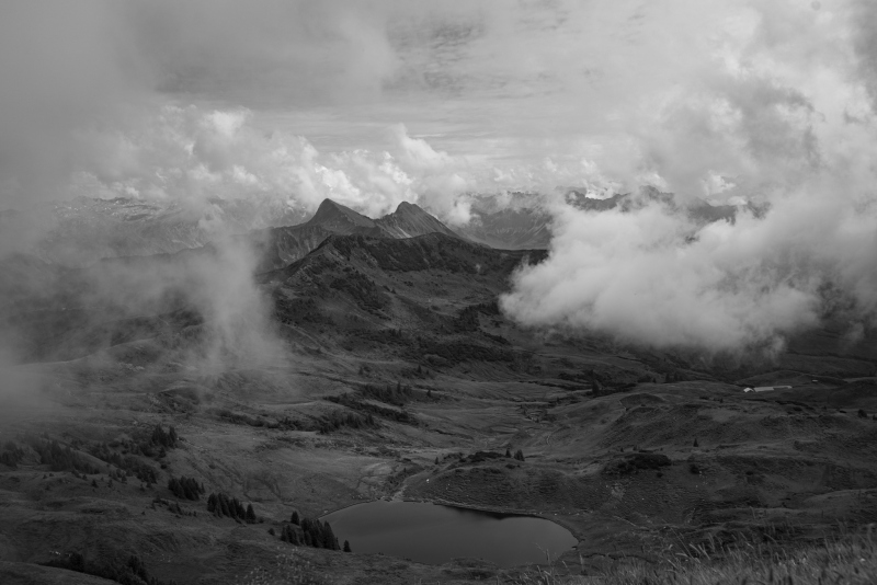 20240805-_DSC3035