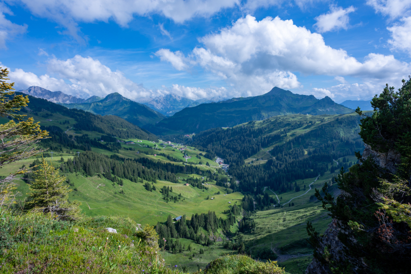 20240805-_DSC3069