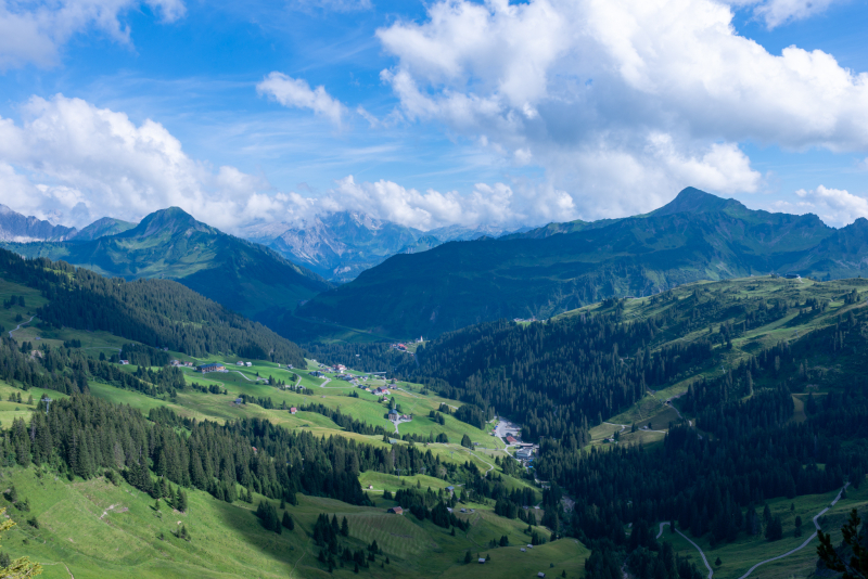 20240805-_DSC3072