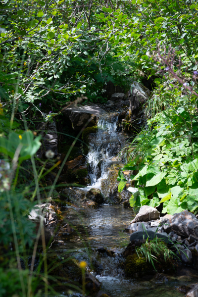 20240807-_DSC3114