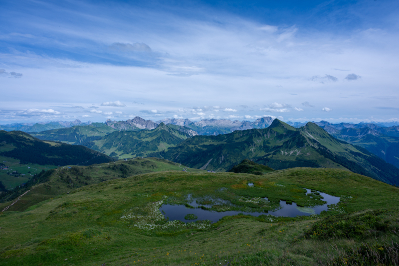 20240807-_DSC3122