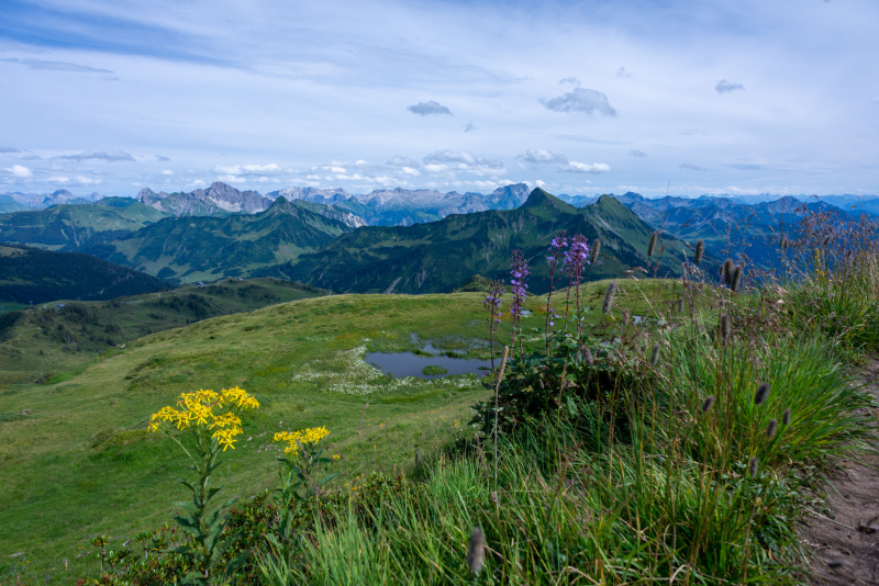 20240807-_DSC3126